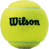 Piłki do tenisa ziemnego Wilson Championship 3 sztuki WRT100101