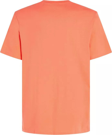 Męska koszulka z krótkim rękawem O'neill MIX