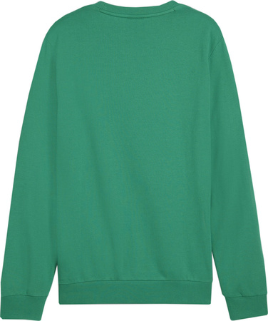 Bluza męska Puma Team Goal Casuals Crew Neck Sweat zielona 658592 05