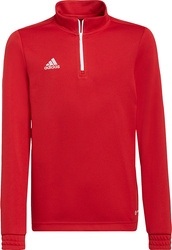 Bluza dla dzieci adidas Entrada 22 Tr Top czerwona H57550