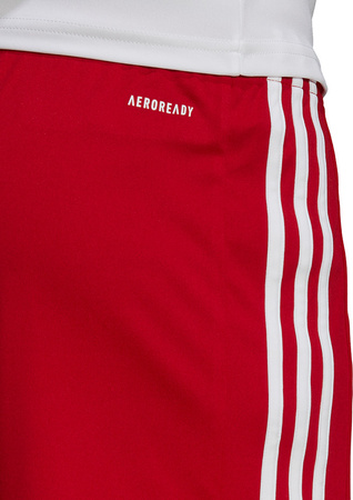 Spodenki treningowe krótkie męskie adidas czerwone Squadra 21 Shorts GN5771