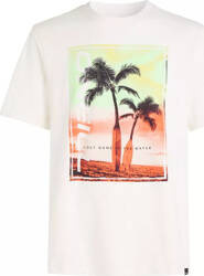 Męska koszulka z krótkim rękawem O'neill JACK O'NEILL NEON T-SHIRT snow white rozmiar M