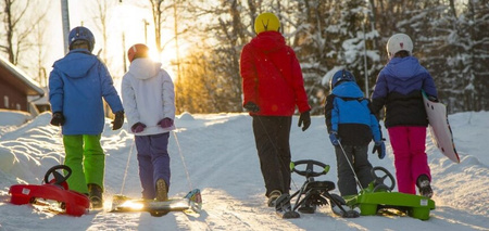 Ślizg Hamax Free Surfer 2015 550047