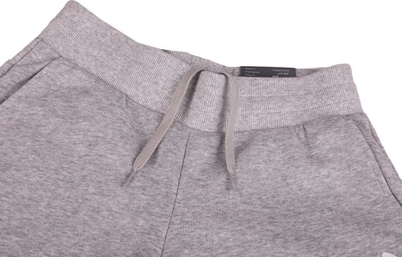 Spodnie damskie Puma Power Graphic Pants szare 847115 04