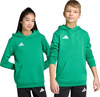 Bluza dla dzieci adidas Entrada 26 Hoody zielona JZ6563