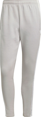 Spodnie męskie adidas Squadra 21 Sweat Pant jasnoszare GT6644