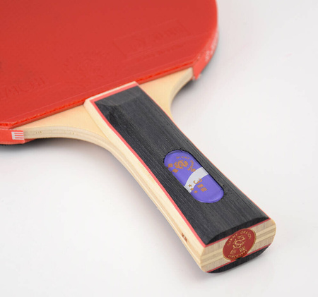 Rakietka do tenisa stołowego ping-ponga Giant Dragon 3★ N8032 pokrowiec