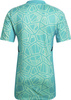 Koszulka męska Condivo 22 Goalkeeper Jersey Short Sleeve zielona HB1618