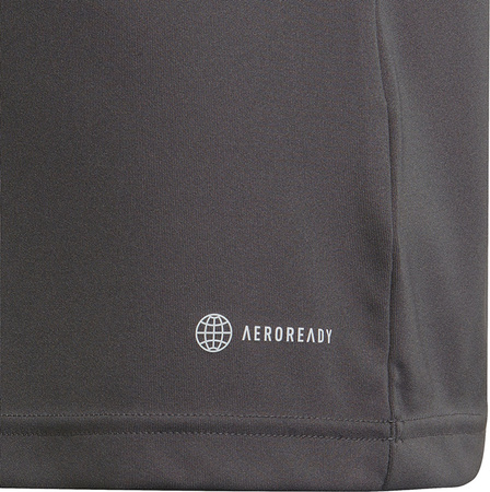 Koszulka dla dzieci adidas Entrada 22 Jsy szara H57499