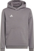 Bluza dla dzieci adidas Entrada 22 Hoody szara H57515