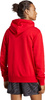 Bluza męska adidas Essentials French Terry Big Logo Hoodie czerwona IC9365