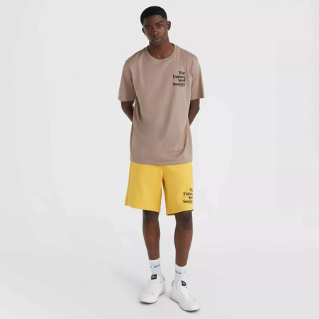 Męska koszulka z krótkim rękawem O'neill FUTURE SURF SOCIETY T-SHIRT pumpkin smoke rozmiar L