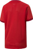 Koszulka dla dzieci Puma teamGOAL 23 Jersey czerwona 704160 01