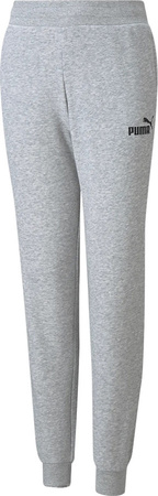 Spodnie dla dzieci Puma ESS Sweatpants TR szare 587037 04