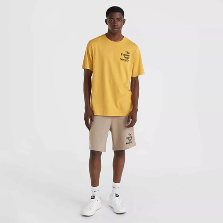 Męska koszulka z krótkim rękawem O'neill FUTURE SURF SOCIETY T-SHIRT golden haze rozmiar M