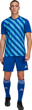 Koszulka męska adidas Entrada 22 Graphic Jersey niebiesko-błękitna HF0116