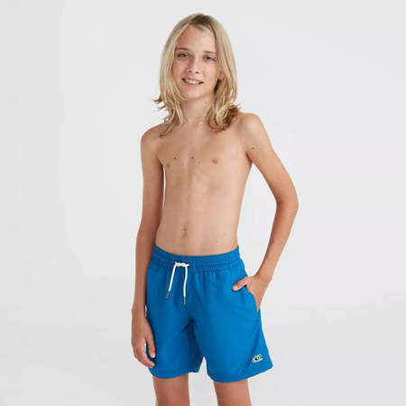 Dziecięce szorty O'neill VERT 14" SWIM SHORTS mary poppins rozmiar 140