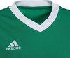 Koszulka dla dzieci adidas Entrada 22 Jersey zielona HI2126