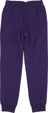 Spodnie męskie Champion Rub Cuff Pants fioletowe 220296 VS025