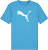 Koszulka męska Puma Team Rise Logo Jersey Cotton jasnoniebieska 658705 02