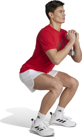 Koszulka męska adidas Train Essentials Seasonal Training Graphic czerwona IJ9604