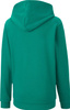 Bluza dla dzieci Puma teamGOAL 23 Casuals Hoody Jr zielona 656711 05