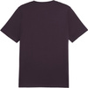 Koszulka męska Puma Essential Logo Tee ciemny fiolet 586667 18
