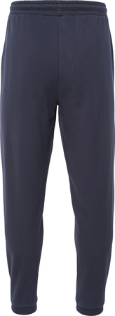 Męskie spodnie dresowe bawełniane mikropolar Iguana Ivanil rozmiar XL