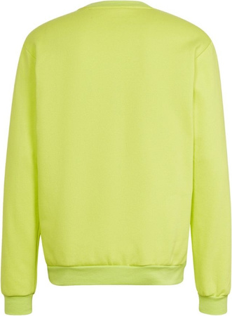 Bluza męska adidas Entrada 22 Sweat Top limonkowa HC5049