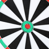 Tarcza do darta rzutki papierowa 38cm 2w1 Dart Nils Fun TDN05   6 rzutek 