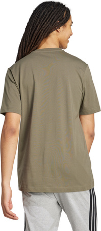 Koszulka męska adidas Logo Graphic oliwkowa KA9801