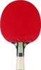 Rakietka do tenisa stołowego ping ponga Butterfly Dang Qiu DQX1