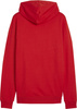 Bluza męska Puma Team Goal Casuals Hoody czerwona 658618 01