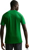 Koszulka męska NIke Dri-Fit Park VIII zielona HV8173 302