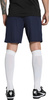 Spodenki męskie Puma Team Goal granatowe 705752 06