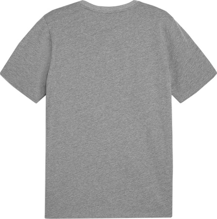 Koszulka męska Puma Team Goal Casuals Tee szara 658615 33