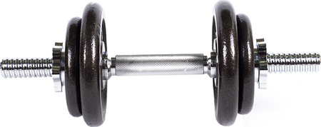 Hantel żeliwny Profit 10 kg DK 4126