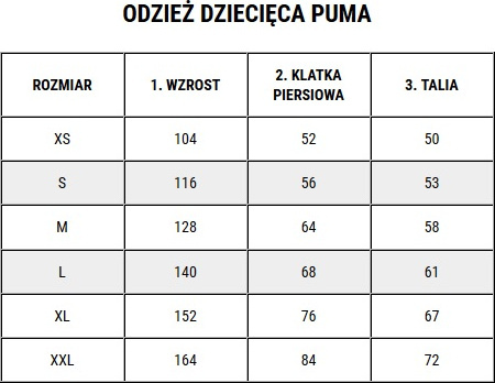 Koszulka dla dzieci Puma teamRISE Jersey Jr błękitna 704938 18