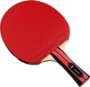 Rakietka do tenisa stołowego ping ponga Butterfly Team Champion