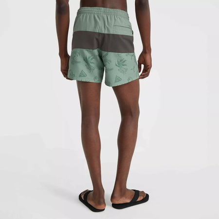 Męskie szorty O'neill MIX