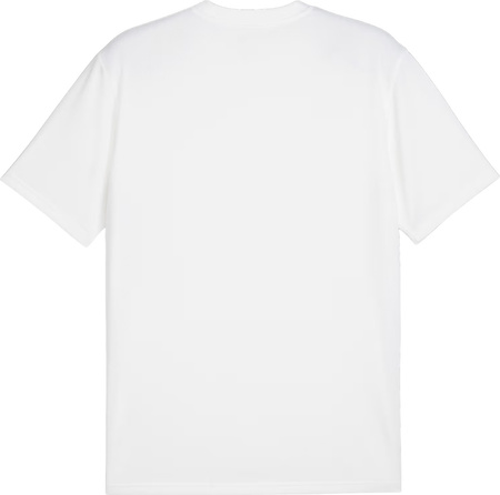 Koszulka męska Puma TeamGoal Jersey biała 658636 04