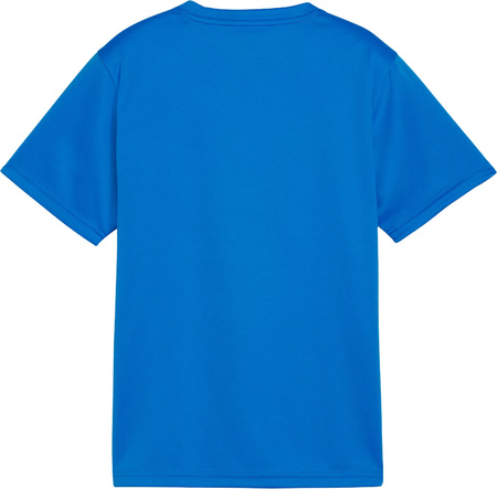 Koszulka dla dzieci Puma TeamGoal Jersey niebieska 658637 02