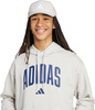 Bluza męska adidas Collegiate Hoodie jasnoszara KC3872