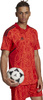 Koszulka męska Condivo 22 Goalkeeper Jersey Short Sleeve czerwona H21238
