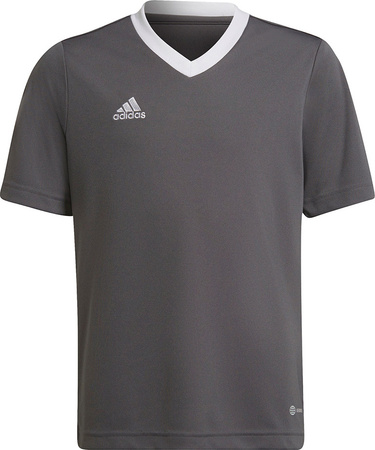 Koszulka dla dzieci adidas Entrada 22 Jsy szara H57499