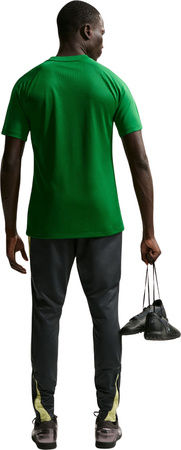 Koszulka męska NIke Dri-Fit Park VIII zielona HV8173 302