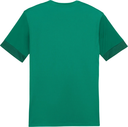 Koszulka męska Puma teamGoal Matchday Jersey zielona 705747 05