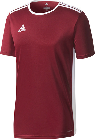 Koszulka dla dzieci adidas Entrada 18 Jersey JUNIOR bordowa CE9564