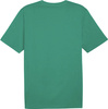Koszulka męska Puma Team Rise Logo Jersey Cotton zielona 658705 05