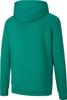 Bluza męska Puma teamGOAL 23 Causals Hoody zielona 656580 05